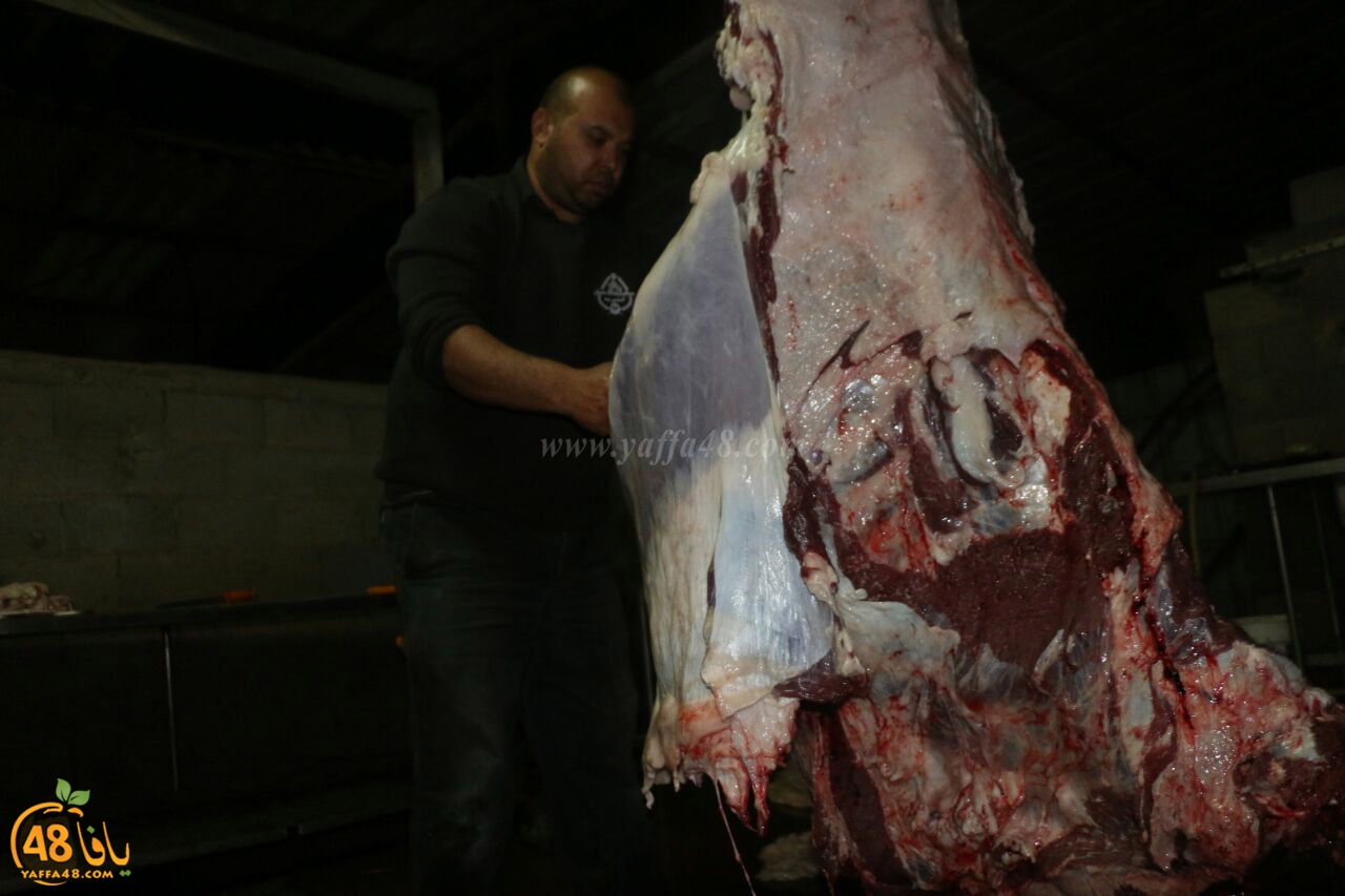 mashro3 ada7yau (10).jpg